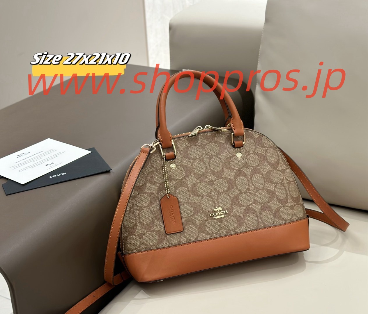 wsxc1743258265362_0