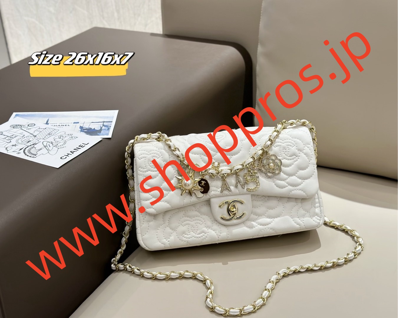 wsxc1743258305384_3