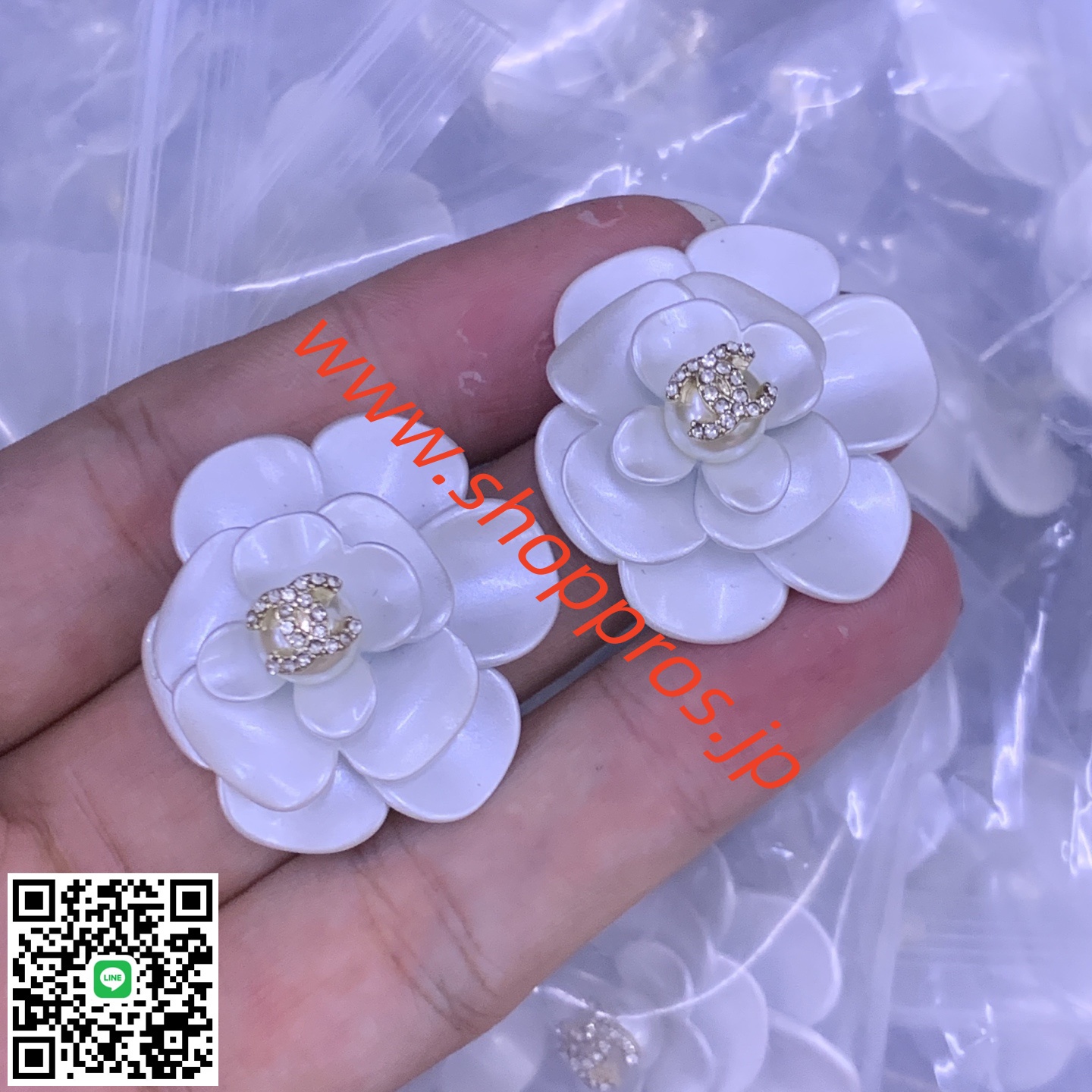 wsxc1756220368728_0