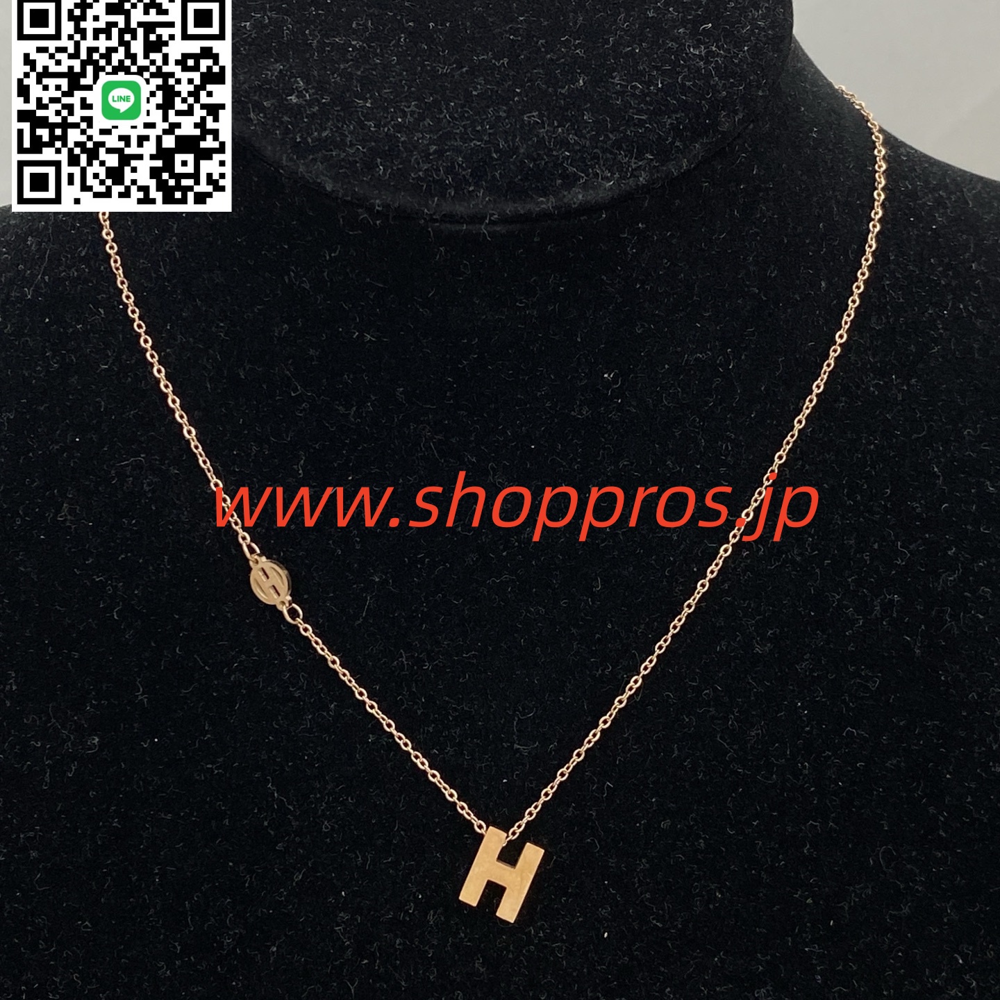 wsxc1756232914273_0