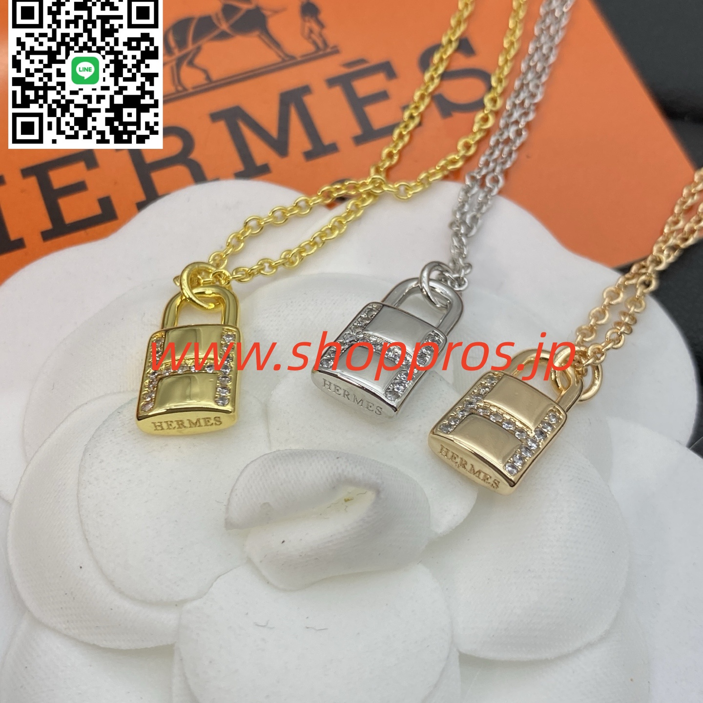 wsxc1756232930676_8