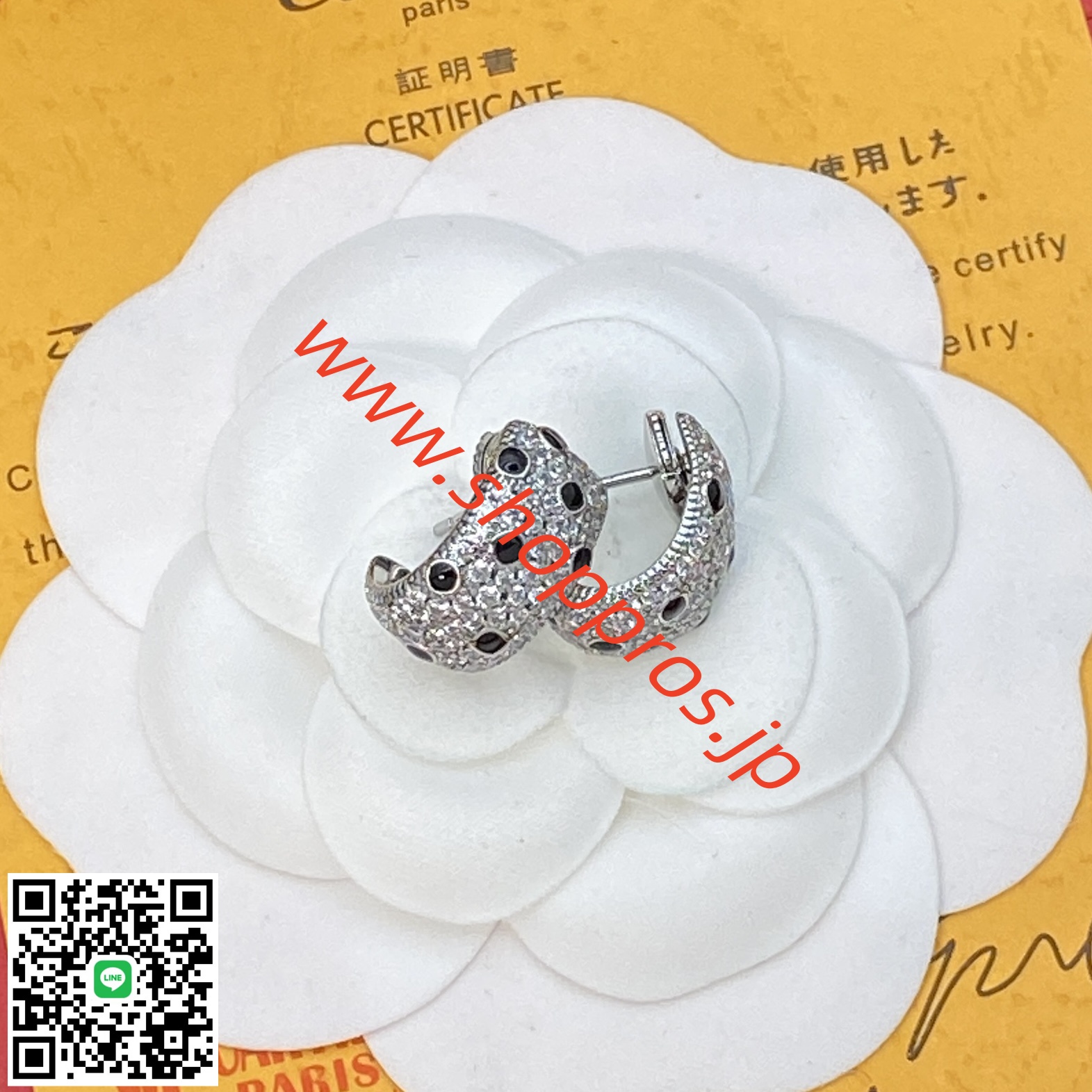 wsxc1756235277614_4