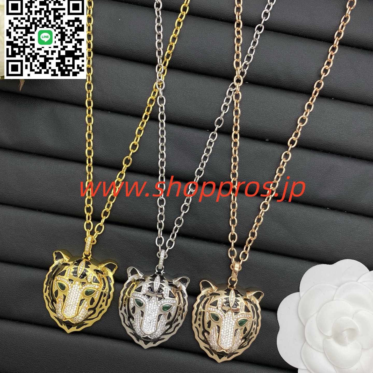 wsxc1756235499077_0